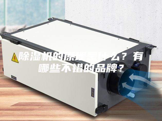 除濕機的原理是什么？有哪些不錯的品牌？