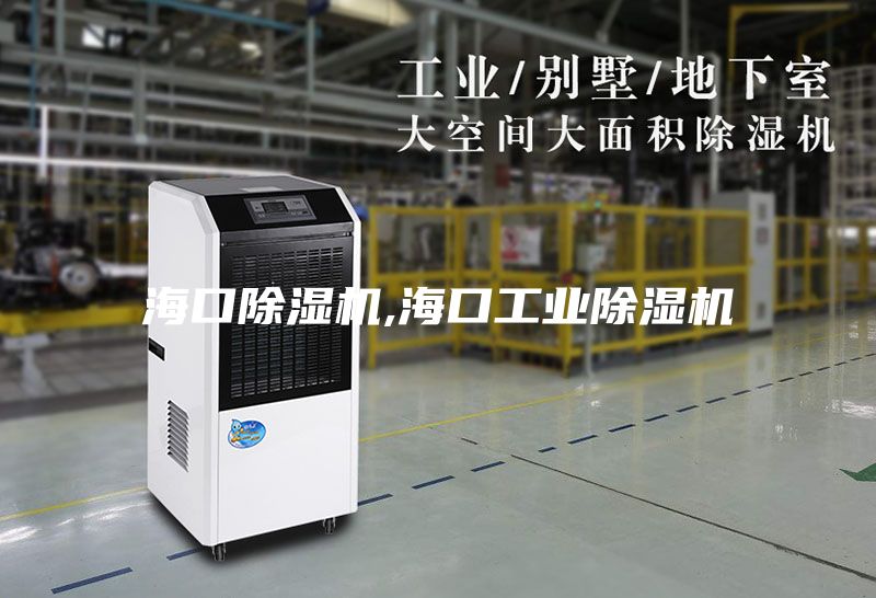 ?？诔凉駲C,海口工業(yè)除濕機