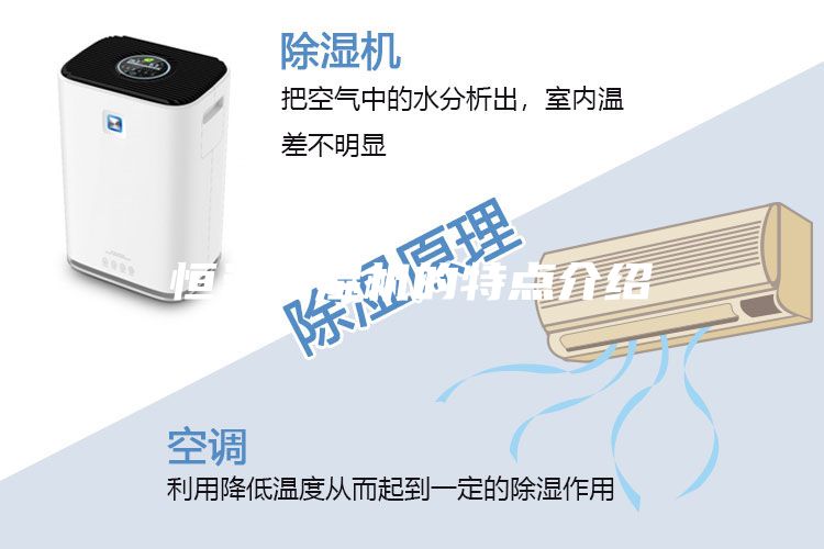 恒溫恒濕機(jī)的特點介紹