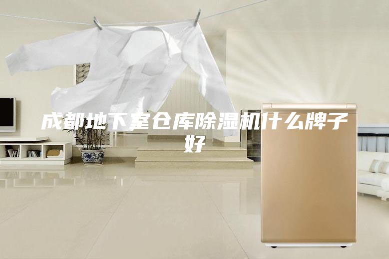 成都地下室倉(cāng)庫(kù)除濕機(jī)什么牌子好