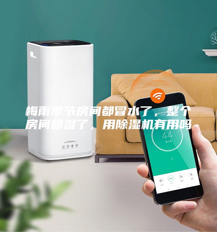 梅雨季節(jié)房間都冒水了，整個(gè)房間都濕了，用除濕機(jī)有用嗎