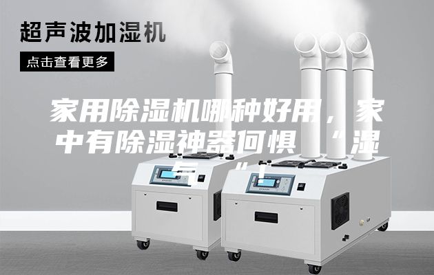 家用除濕機哪種好用，家中有除濕神器何懼 “濕氣 “！