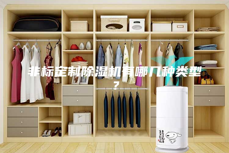 非標(biāo)定制除濕機(jī)有哪幾種類型？