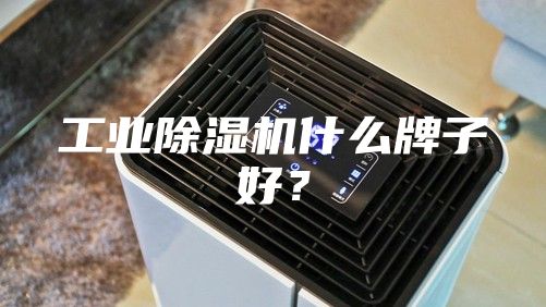工業(yè)除濕機(jī)什么牌子好？