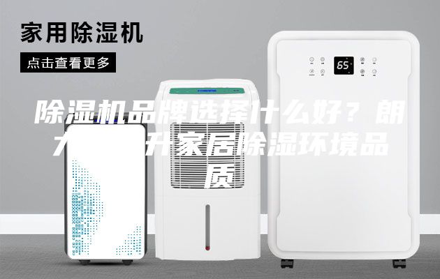 除濕機品牌選擇什么好？朗力信提升家居除濕環(huán)境品質(zhì)