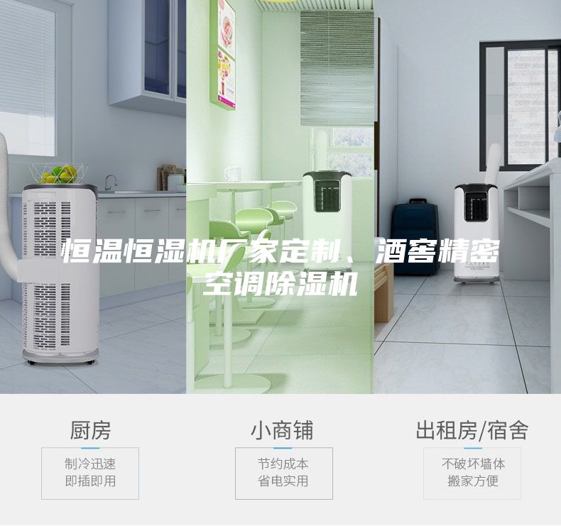 恒溫恒濕機(jī)廠家定制、酒窖精密空調(diào)除濕機(jī)