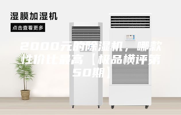 2000元的除濕機，哪款性價比最高【極品橫評第50期】
