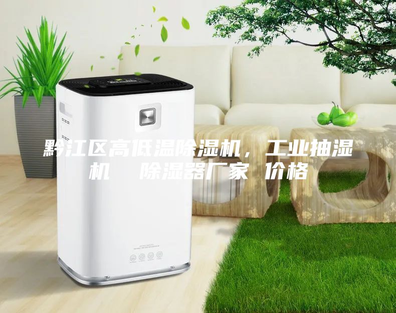 黔江區(qū)高低溫除濕機(jī)，工業(yè)抽濕機(jī)  除濕器廠家 價(jià)格