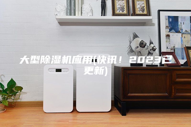 大型除濕機(jī)應(yīng)用(快訊！2023已更新)