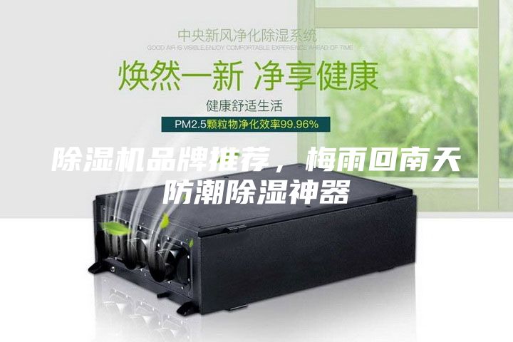 除濕機品牌推薦，梅雨回南天防潮除濕神器