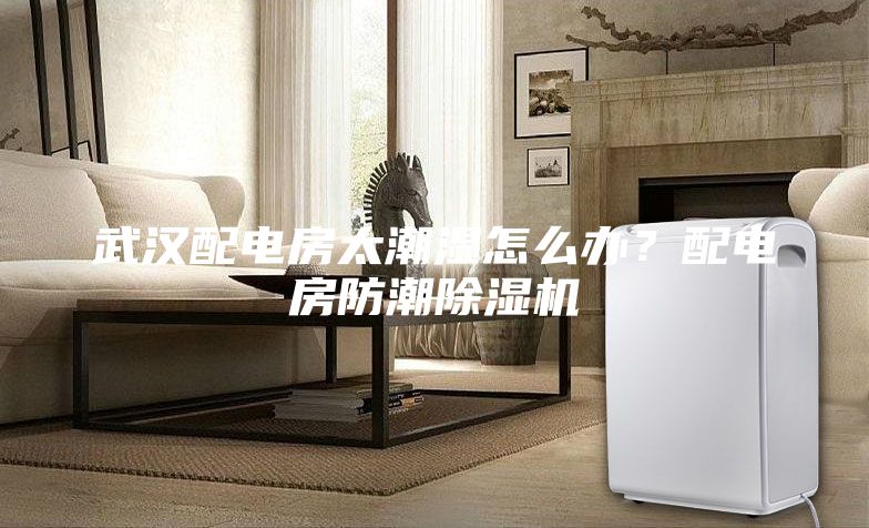 武漢配電房太潮濕怎么辦？配電房防潮除濕機(jī)