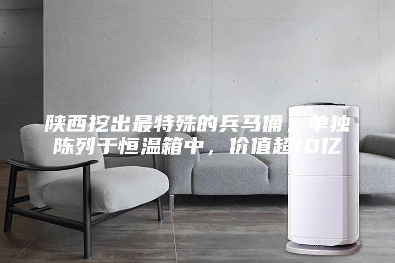 陜西挖出最特殊的兵馬俑，單獨陳列于恒溫箱中，價值超10億