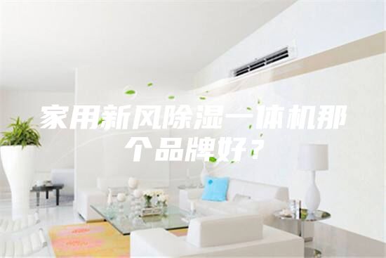 家用新風(fēng)除濕一體機(jī)那個(gè)品牌好？
