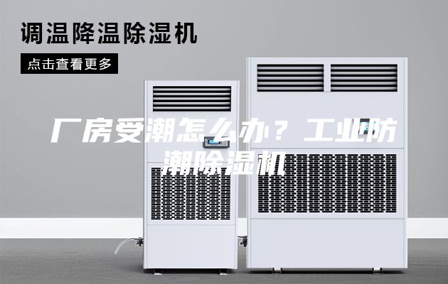 廠房受潮怎么辦？工業(yè)防潮除濕機