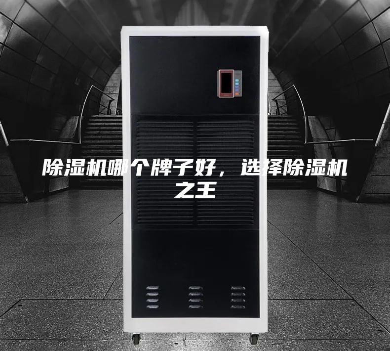 除濕機(jī)哪個(gè)牌子好，選擇除濕機(jī)之王