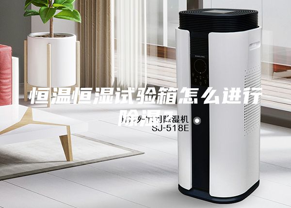 恒溫恒濕試驗(yàn)箱怎么進(jìn)行除濕？