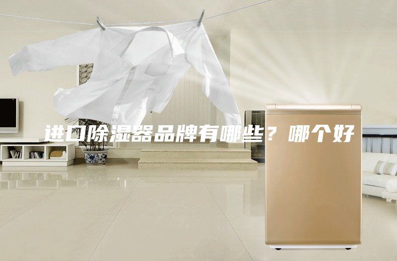 進(jìn)口除濕器品牌有哪些？哪個(gè)好