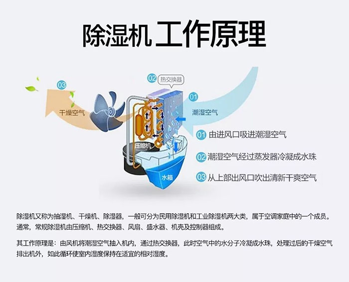 蜈蚣出沒(méi)潮濕區(qū)，安詩(shī)曼除濕機(jī)消除蜈蚣隱患