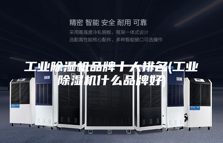工業(yè)除濕機品牌十大排名(工業(yè)除濕機什么品牌好)