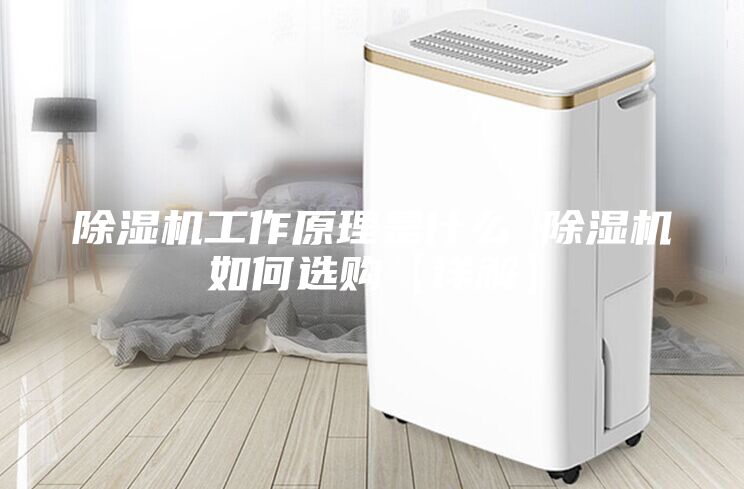 除濕機(jī)工作原理是什么 除濕機(jī)如何選購【詳解】