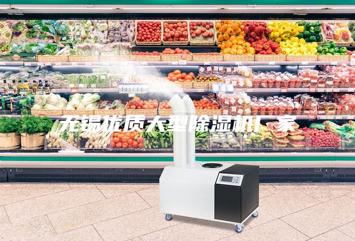 無錫優(yōu)質(zhì)大型除濕機廠家