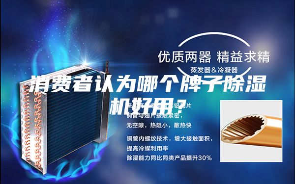 消費(fèi)者認(rèn)為哪個(gè)牌子除濕機(jī)好用？