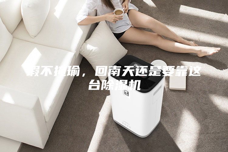 瑕不掩瑜，回南天還是要靠這臺(tái)除濕機(jī)