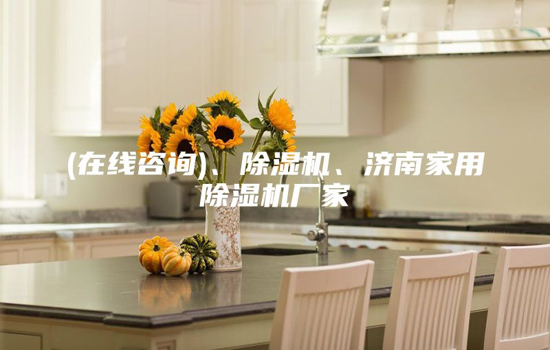 (在線咨詢)、除濕機(jī)、濟(jì)南家用除濕機(jī)廠家