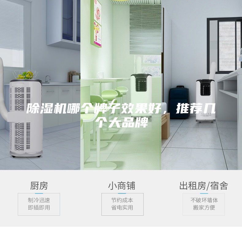 除濕機(jī)哪個(gè)牌子效果好，推薦幾個(gè)大品牌