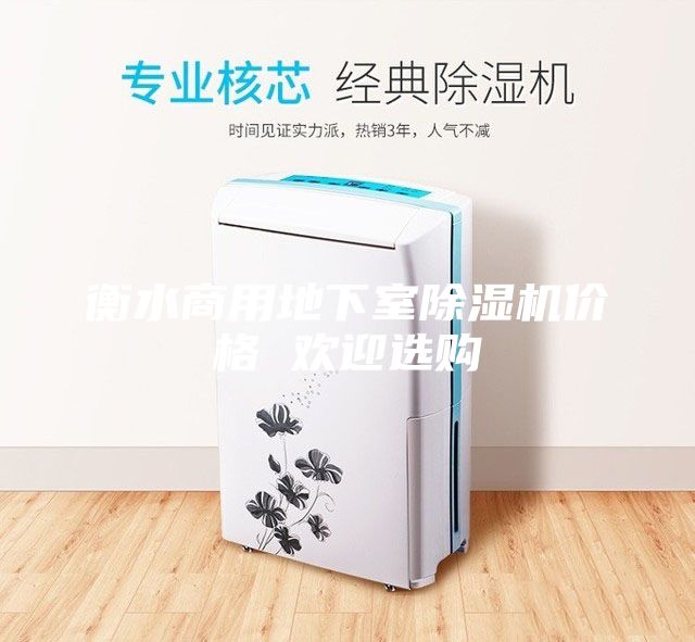 衡水商用地下室除濕機(jī)價(jià)格 歡迎選購(gòu)