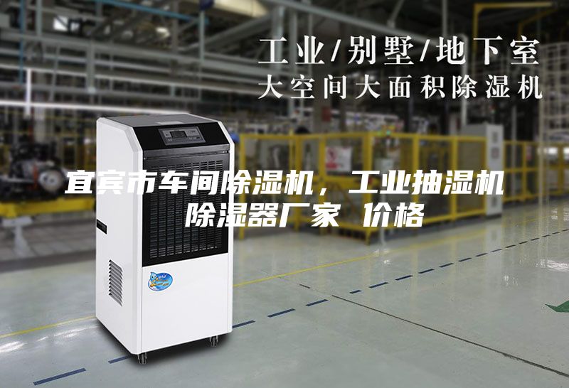 宜賓市車間除濕機(jī)，工業(yè)抽濕機(jī)  除濕器廠家 價格