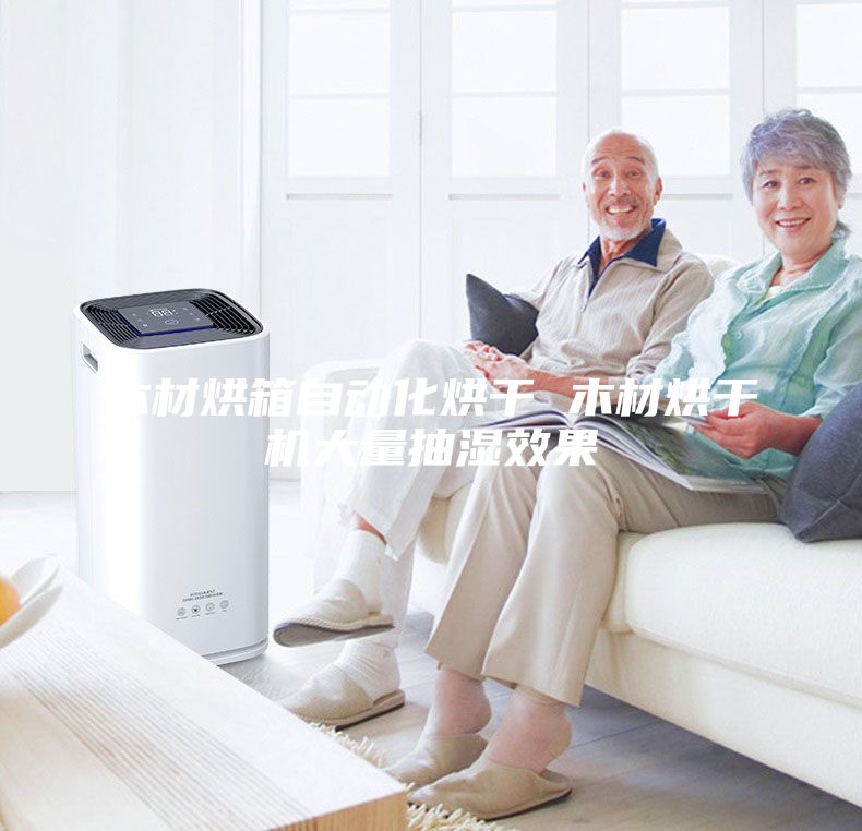 木材烘箱自動化烘干 木材烘干機(jī)大量抽濕效果