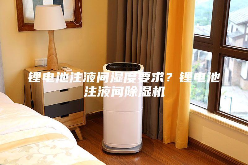 鋰電池注液間濕度要求？鋰電池注液間除濕機(jī)