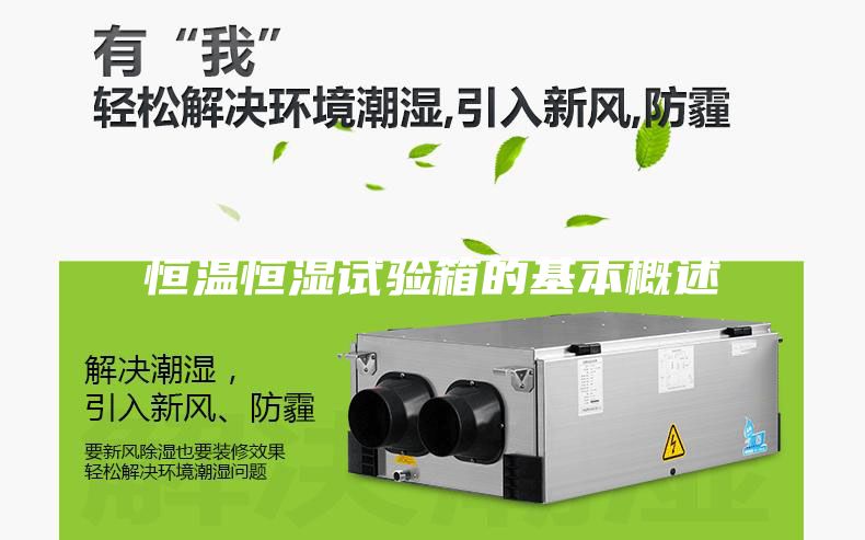 恒溫恒濕試驗(yàn)箱的基本概述