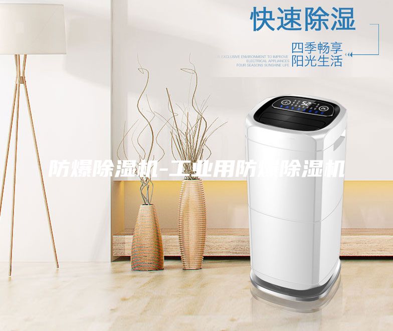 防爆除濕機-工業(yè)用防爆除濕機