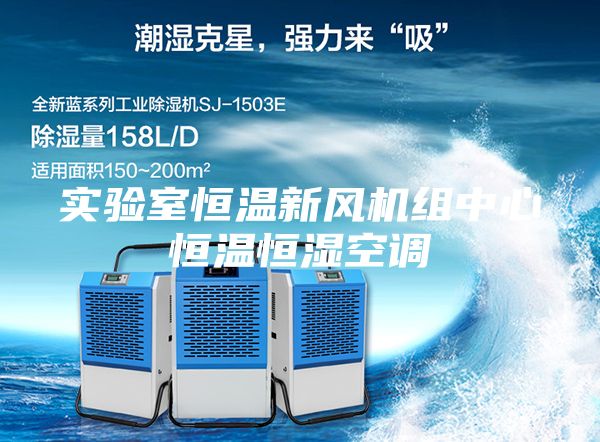 實驗室恒溫新風(fēng)機組中心恒溫恒濕空調(diào)
