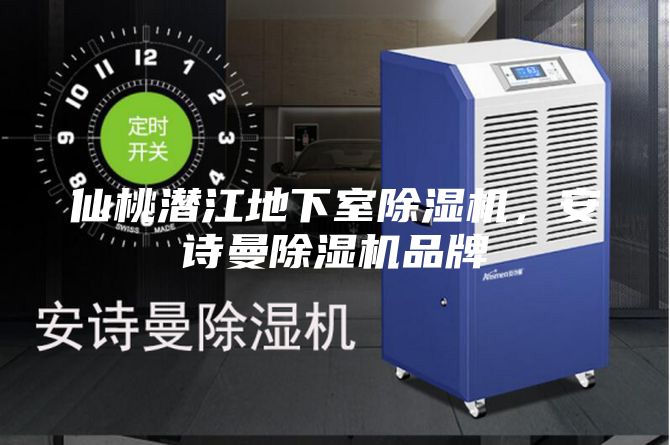 仙桃潛江地下室除濕機，安詩曼除濕機品牌