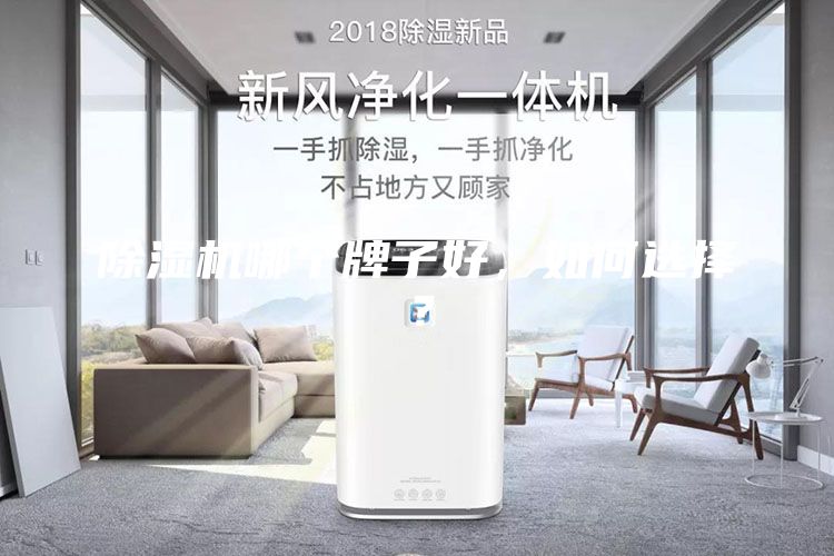 除濕機(jī)哪個(gè)牌子好，如何選擇？