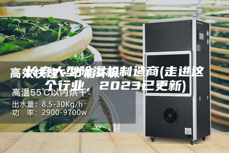 長春大型除濕機(jī)制造商(走進(jìn)這個(gè)行業(yè)，2023已更新)