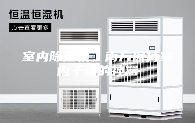室內(nèi)除濕機，南方保持室內(nèi)干燥的神器