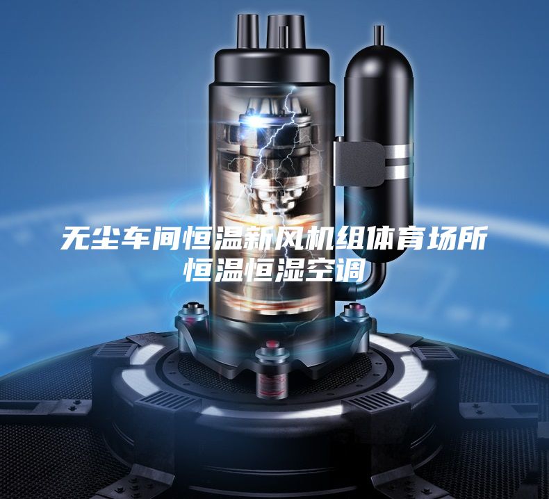 無(wú)塵車間恒溫新風(fēng)機(jī)組體育場(chǎng)所恒溫恒濕空調(diào)