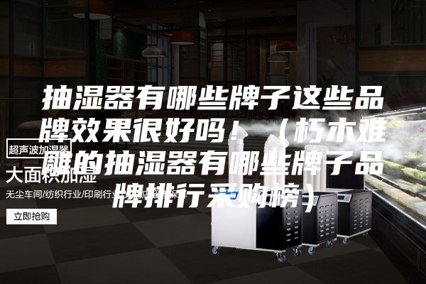 抽濕器有哪些牌子這些品牌效果很好嗎?。ㄐ嗄倦y雕的抽濕器有哪些牌子品牌排行采購(gòu)榜）