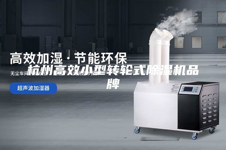 杭州高效小型轉(zhuǎn)輪式除濕機品牌