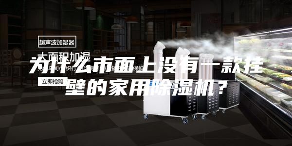 為什么市面上沒有一款掛壁的家用除濕機(jī)？