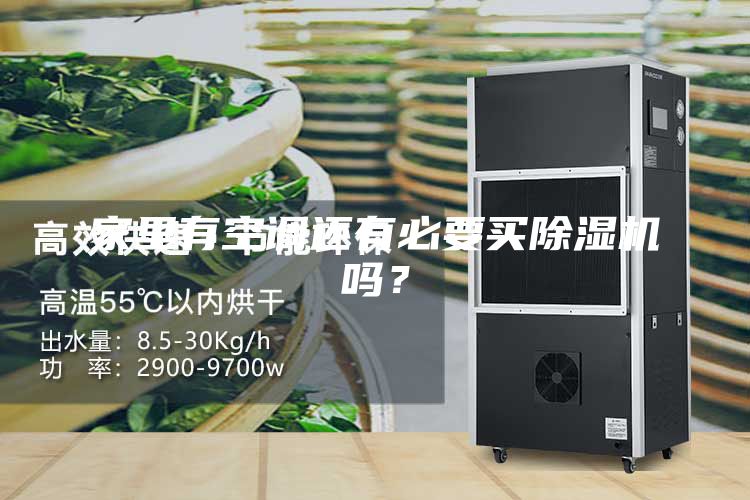 家里有空調(diào)還有必要買(mǎi)除濕機(jī)嗎？