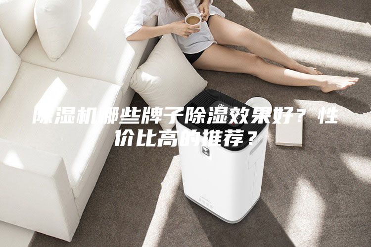 除濕機(jī)哪些牌子除濕效果好？性價(jià)比高的推薦？