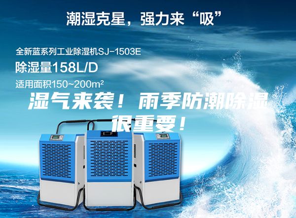 濕氣來襲！雨季防潮除濕很重要！