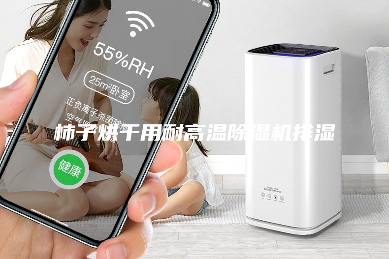 柿子烘干用耐高溫除濕機(jī)排濕