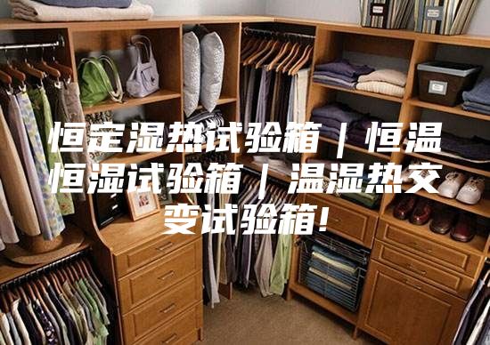 恒定濕熱試驗(yàn)箱｜恒溫恒濕試驗(yàn)箱｜溫濕熱交變?cè)囼?yàn)箱!