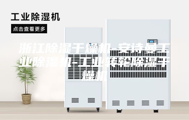 浙江除濕干燥機-安詩曼工業(yè)除濕機-工業(yè)轉(zhuǎn)輪除濕干燥機
